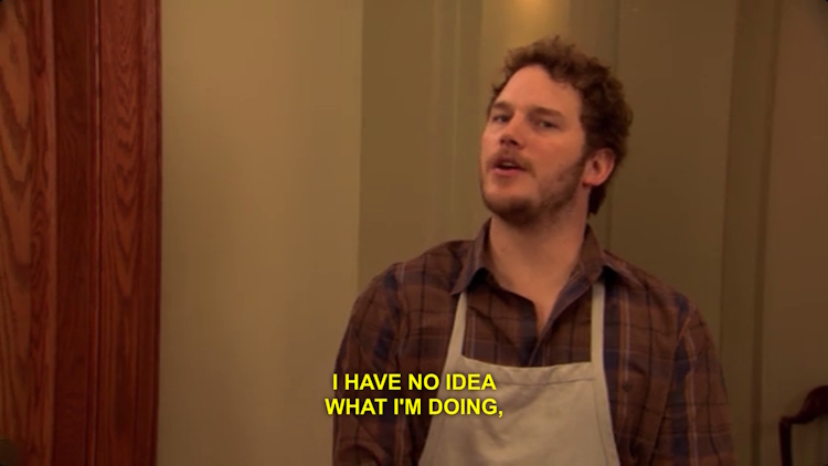 I have no idea what I am doing